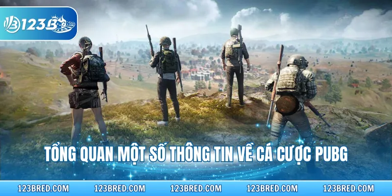 Cá Cược PUBG – Giải Trí Không Giới Hạn Tại Nhà Cái 123B 2 Tổng quan một số thông tin về cá cược PUBG